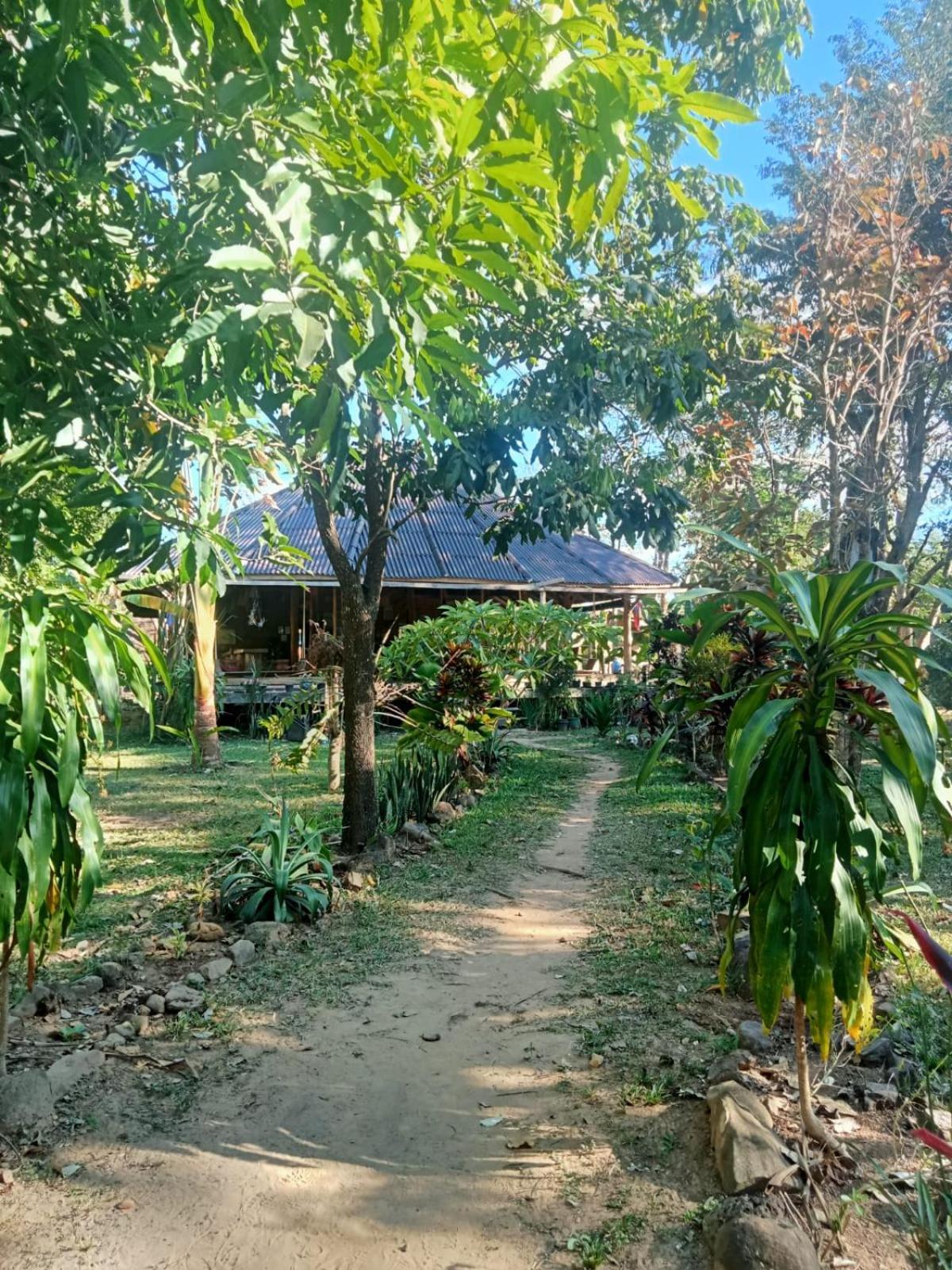 Fandee Island Treehouses & Ziplines - Tad Lo, Bolaven Loop Pakse Ban Kiangtat Exterior foto